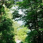 клиф форест - Byala Cliff Forest *