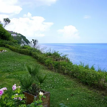 клиф форест - Byala Cliff Forest
