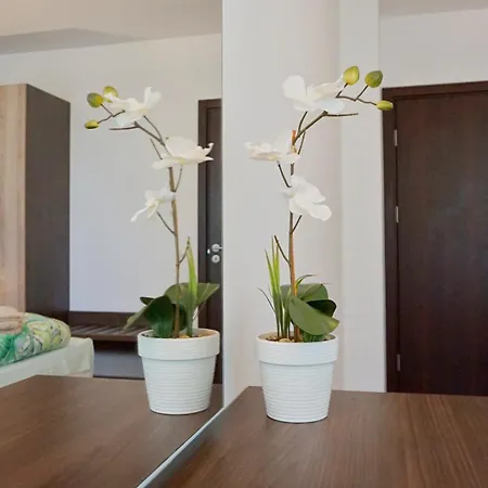 клиф форест - Byala Cliff Forest *