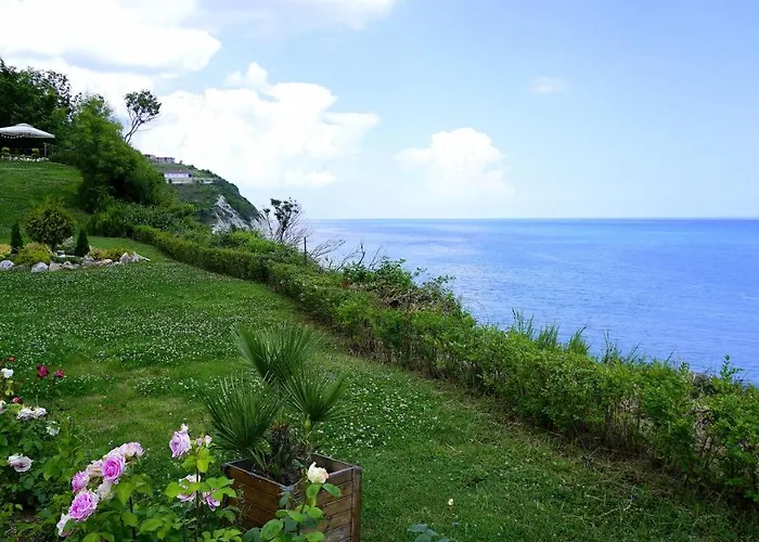 клиф форест - Byala Cliff Forest